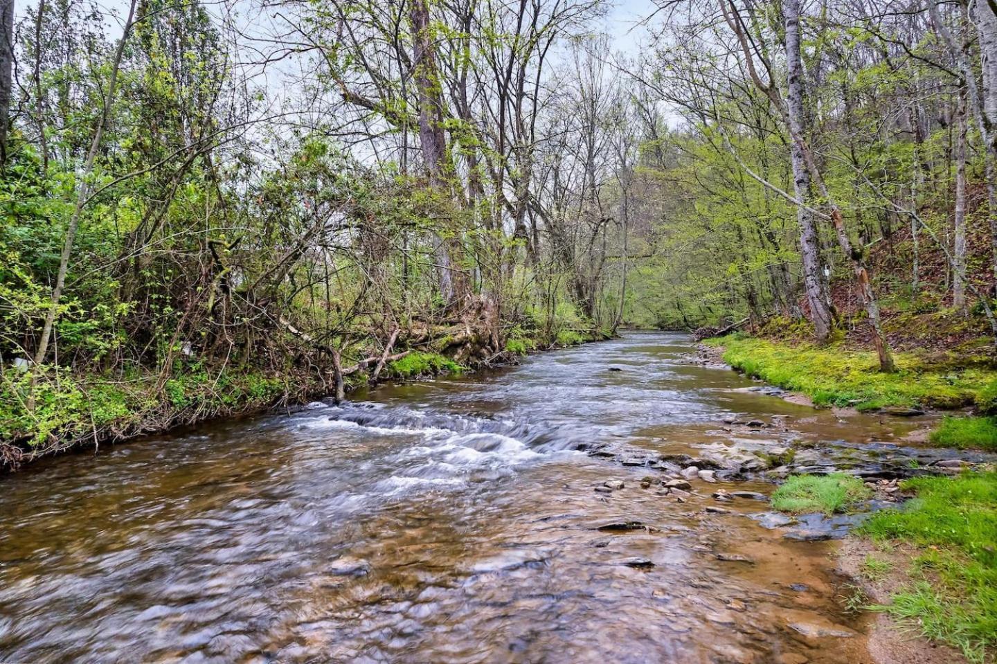 1 Mile To Pkwy, Pets, Hot Tub, Creekside, Porch Villa Pigeon Forge Kültér fotó